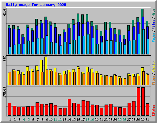Daily usage for January 2020