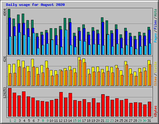 Daily usage for August 2020
