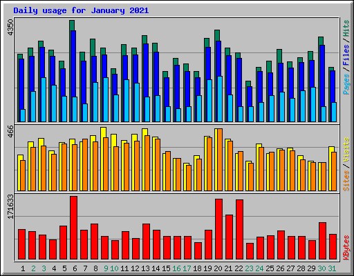 Daily usage for January 2021