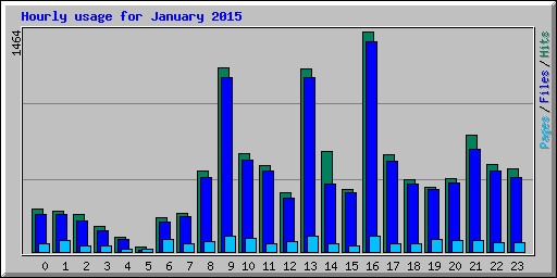 Hourly usage for January 2015