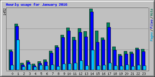Hourly usage for January 2016