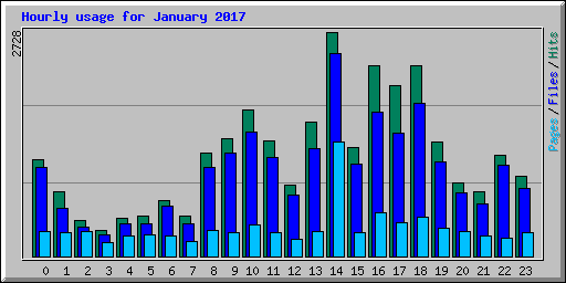 Hourly usage for January 2017