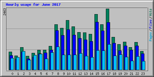 Hourly usage for June 2017