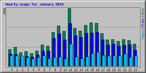 Hourly usage for January 2018