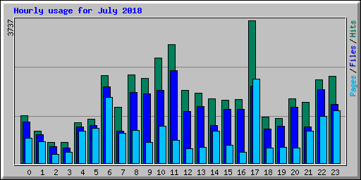 Hourly usage for July 2018