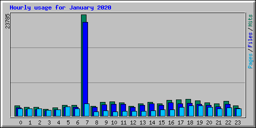 Hourly usage for January 2020
