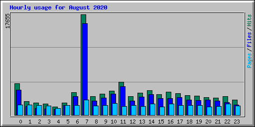 Hourly usage for August 2020