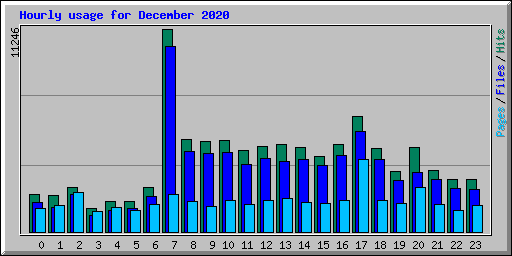 Hourly usage for December 2020