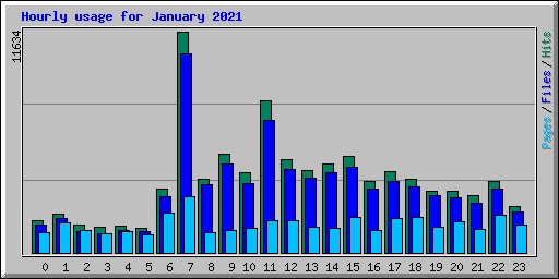 Hourly usage for January 2021