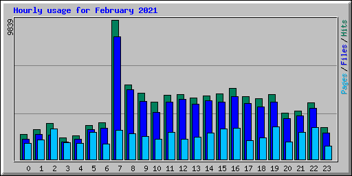 Hourly usage for February 2021