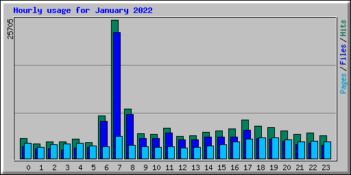 Hourly usage for January 2022