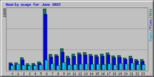Hourly usage for June 2022